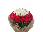 Splendid Roses - 36 Stems Bouquet